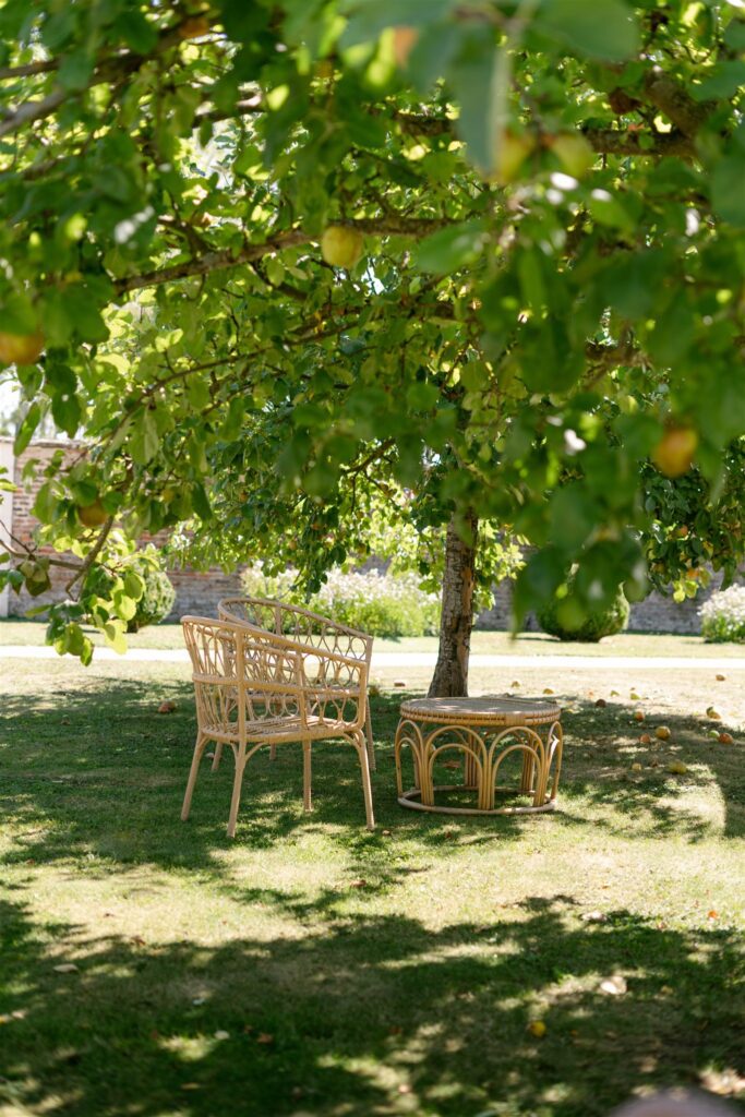 Wooden garden chairs beneath a tree in the orchard